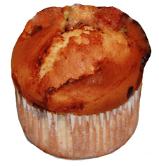 muffins americains natures